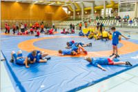 Ringen: �sterr. Sch�lermeisterschaft 2019 im Freistil, 26.05.2019