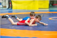 Ringen: �sterr. Sch�lermeisterschaft 2019 im Freistil, 26.05.2019