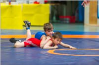 Ringen: �sterr. Sch�lermeisterschaft 2019 im Freistil, 26.05.2019