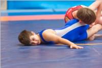 Ringen: �sterr. Sch�lermeisterschaft 2019 im Freistil, 26.05.2019