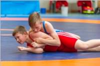 Ringen: �sterr. Sch�lermeisterschaft 2019 im Freistil, 26.05.2019