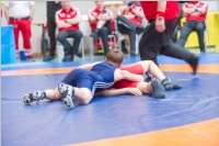 Ringen: �sterr. Sch�lermeisterschaft 2019 im Freistil, 26.05.2019