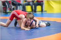 Ringen: �sterr. Sch�lermeisterschaft 2019 im Freistil, 26.05.2019