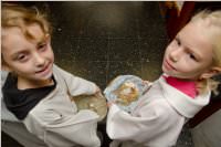 Familienmesse in der Stadtpfarre Neufeld, 15.11.2015