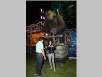 Neufelder Seefest, 05. - 06.07.2013