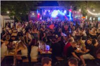 Neufelder Seefest, 08. - 09.07.2016