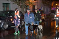 SP� Fackelzug Ebenfurth - Neufeld, 30.04.2015