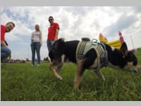 SP� Familienfest in Neufeld, 01.05.2014