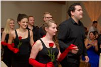 17. Stadtball in Neufeld, 09.01.2016