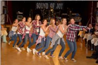 17. Stadtball in Neufeld, 09.01.2016