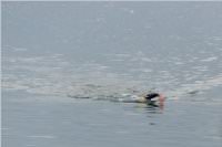 29. Triathlon in Neufeld: Fun Sprint, 11.06.2016