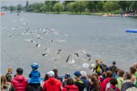 29. Triathlon in Neufeld: Kurz, 12.06.2016