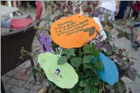 Abschiedsfest der 4. Klassen der VS Neufeld, 26.06.2015