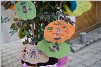 Abschiedsfest der 4. Klassen der VS Neufeld, 26.06.2015