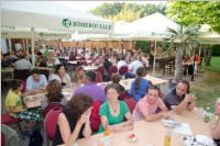 Abschiedsfest der 4. Klassen der VS Neufeld, 26.06.2015