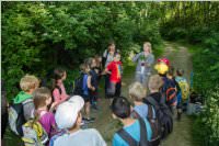 VS: Lehrausgang Auweg, 08.06.2016