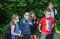 VS: Lehrausgang Auweg, 08.06.2016