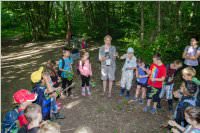 VS: Lehrausgang Auweg, 08.06.2016