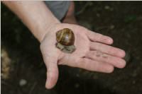 VS: Lehrausgang Auweg, 08.06.2016