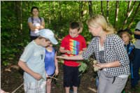 VS: Lehrausgang Auweg, 08.06.2016