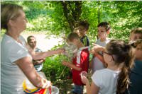 VS: Lehrausgang Auweg, 08.06.2016