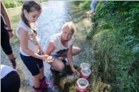 VS: Lehrausgang Auweg, 08.06.2016