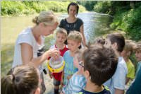 VS: Lehrausgang Auweg, 08.06.2016