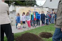 VS Neufeld: Baumpflanzung am Tag der Sonne, 08.05.2015