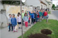 VS Neufeld: Baumpflanzung am Tag der Sonne, 08.05.2015