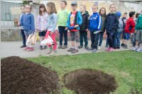 VS Neufeld: Baumpflanzung am Tag der Sonne, 08.05.2015