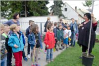 VS Neufeld: Baumpflanzung am Tag der Sonne, 08.05.2015