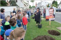 VS Neufeld: Baumpflanzung am Tag der Sonne, 08.05.2015