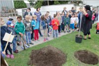 VS Neufeld: Baumpflanzung am Tag der Sonne, 08.05.2015