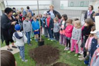 VS Neufeld: Baumpflanzung am Tag der Sonne, 08.05.2015