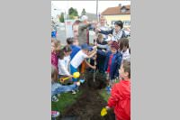 VS Neufeld: Baumpflanzung am Tag der Sonne, 08.05.2015
