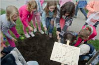 VS Neufeld: Baumpflanzung am Tag der Sonne, 08.05.2015