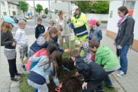 VS Neufeld: Baumpflanzung am Tag der Sonne, 08.05.2015