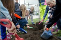 VS Neufeld: Baumpflanzung am Tag der Sonne, 08.05.2015