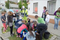 VS Neufeld: Baumpflanzung am Tag der Sonne, 08.05.2015