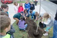 VS Neufeld: Baumpflanzung am Tag der Sonne, 08.05.2015