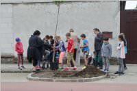 VS Neufeld: Baumpflanzung am Tag der Sonne, 08.05.2015