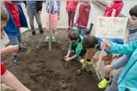 VS Neufeld: Baumpflanzung am Tag der Sonne, 08.05.2015