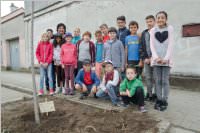 VS Neufeld: Baumpflanzung am Tag der Sonne, 08.05.2015