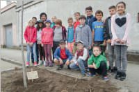 VS Neufeld: Baumpflanzung am Tag der Sonne, 08.05.2015