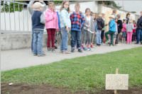 VS Neufeld: Baumpflanzung am Tag der Sonne, 08.05.2015