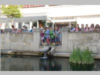 VS Neufeld 3. Klassen in Eisenstadt, 18.06.2014