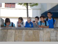 VS Neufeld 3. Klassen in Eisenstadt, 18.06.2014