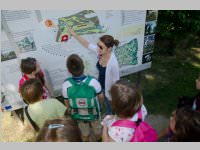 VS Neufeld 3. Klassen in Eisenstadt, 18.06.2014