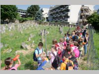 VS Neufeld 3. Klassen in Eisenstadt, 18.06.2014