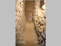 VS Neufeld 3. Klassen in Eisenstadt, 18.06.2014